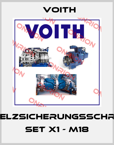 Schmelzsicherungsschraube Set X1 - M18 Voith