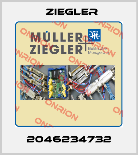 2046234732 Ziegler