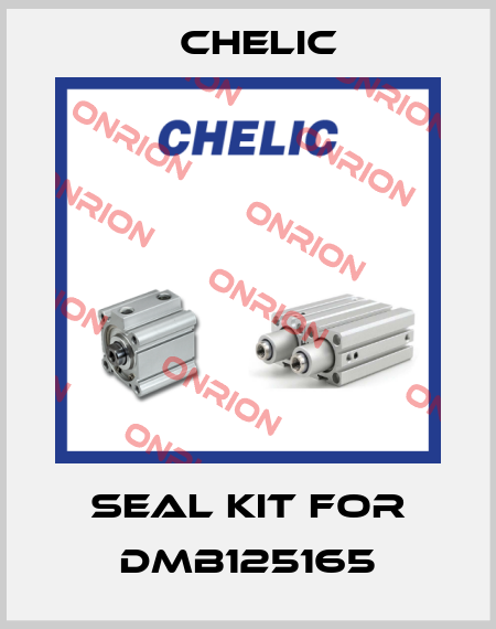 seal kit for DMB125165 Chelic