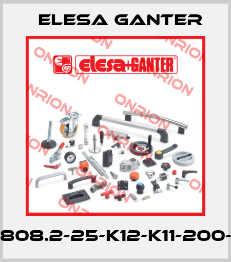 GN808.2-25-K12-K11-200-70 Elesa Ganter