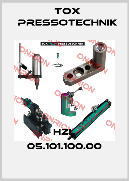 HZL 05.101.100.00 Tox Pressotechnik