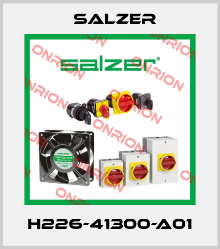 H226-41300-A01 Salzer