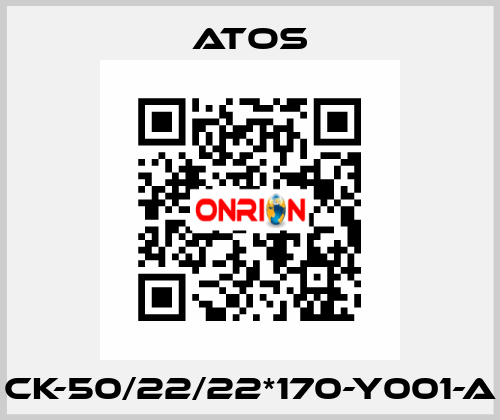 CK-50/22/22*170-Y001-A Atos