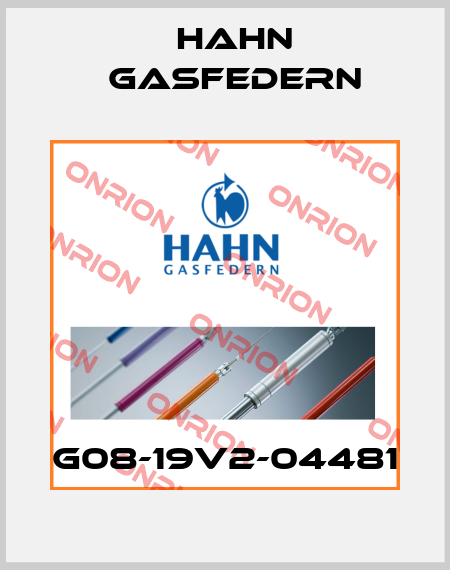 G08-19V2-04481 Hahn Gasfedern