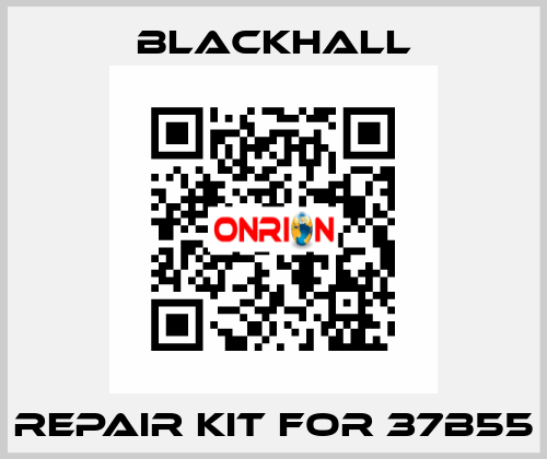 repair kit for 37B55 Blackhall