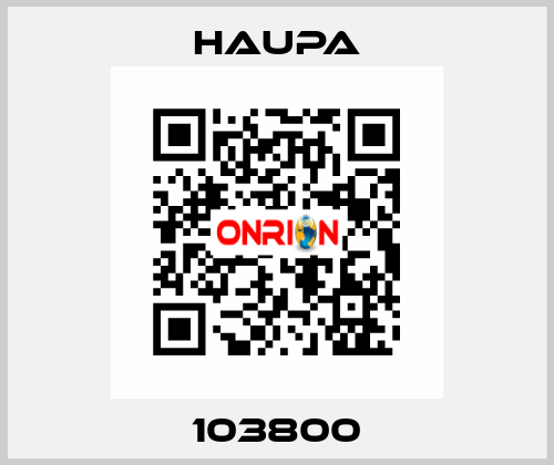 103800 Haupa