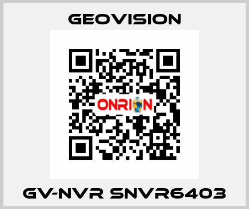 GV-NVR SNVR6403 GeoVision