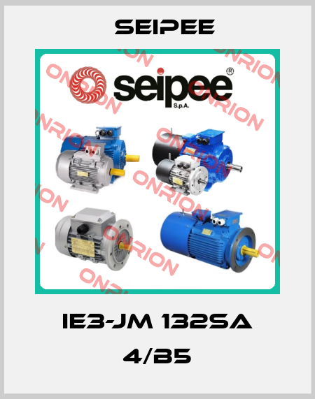 IE3-JM 132Sa 4/B5 SEIPEE