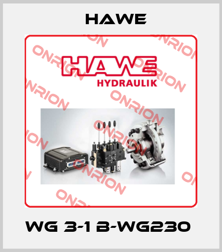WG 3-1 B-WG230  Hawe