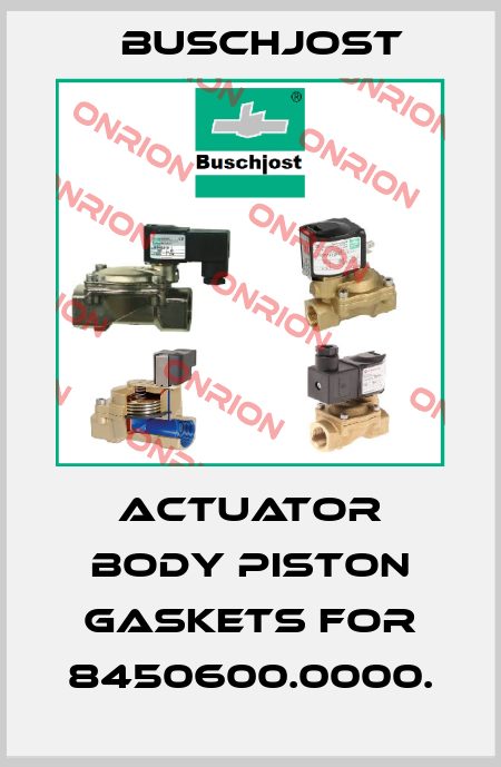 actuator body piston gaskets for 8450600.0000. Buschjost