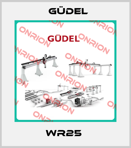 WR25  Güdel