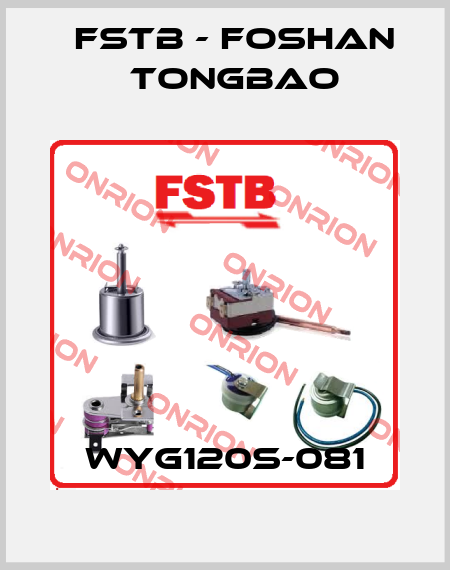 WYG120S-081 FSTB - Foshan Tongbao