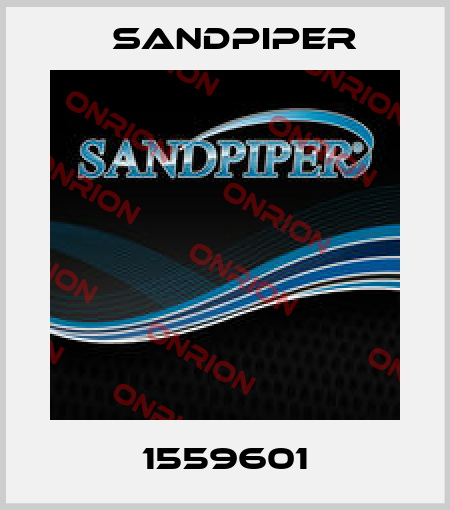 1559601 Sandpiper