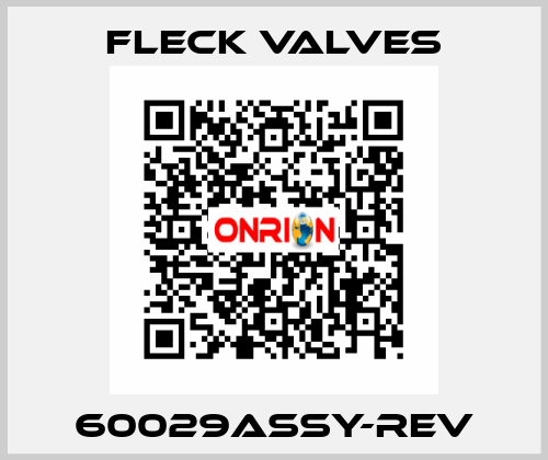 60029ASSY-REV Fleck Valves