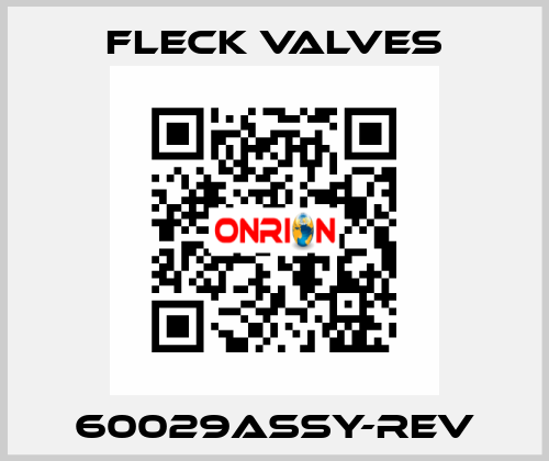 60029ASSY-REV Fleck Valves