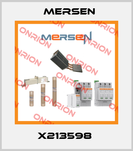 X213598  Mersen