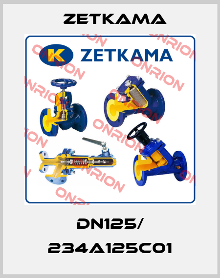 DN125/ 234A125C01 Zetkama