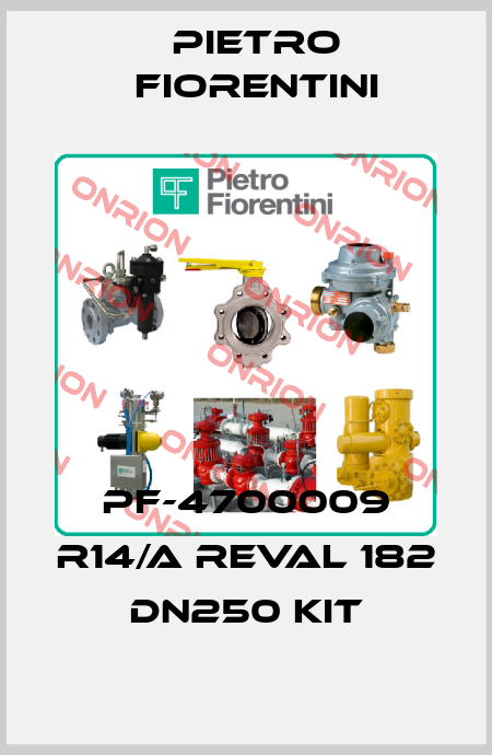 PF-4700009 R14/A REVAL 182 DN250 KIT Pietro Fiorentini