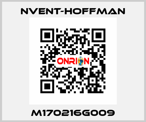 M170216G009 nVent-Hoffman