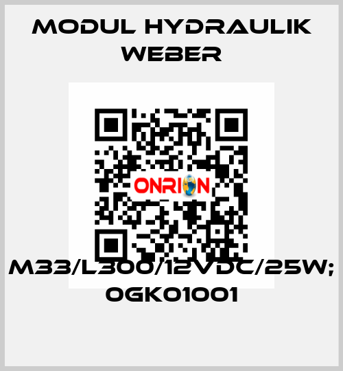 M33/L300/12VDC/25W; 0GK01001 MODUL HYDRAULIK WEBER