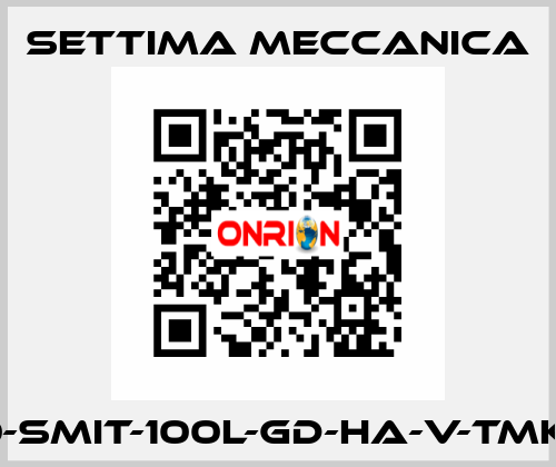 GR40-SMIT-100L-GD-HA-V-TMK-CSM Settima Meccanica