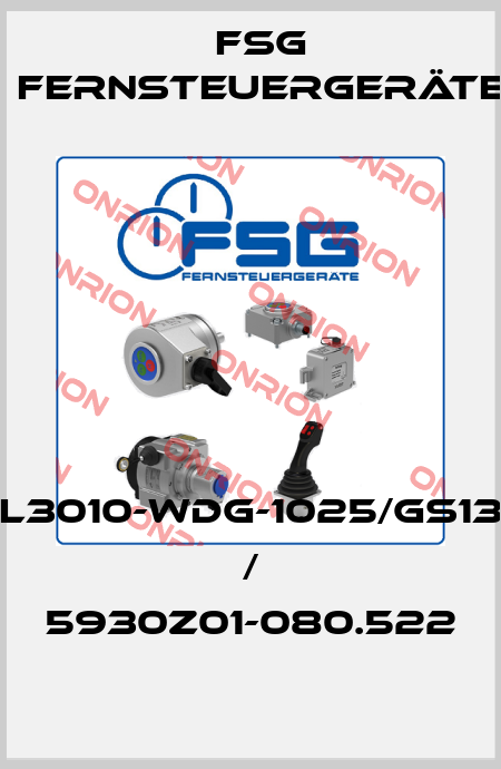 SL3010-WDG-1025/GS130 / 5930Z01-080.522 FSG Fernsteuergeräte
