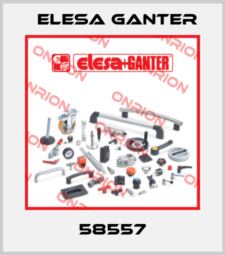 58557 Elesa Ganter