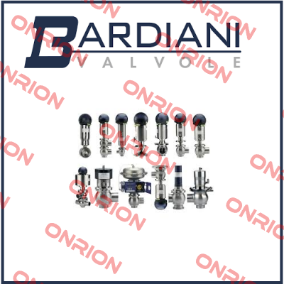 repair kit for BBZP DN 50 Bardiani Valvole