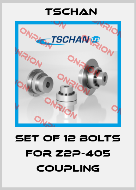 Set of 12 bolts for Z2P-405 coupling Tschan
