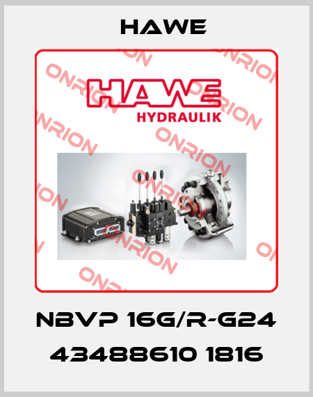 NBVP 16G/R-G24 43488610 1816 Hawe