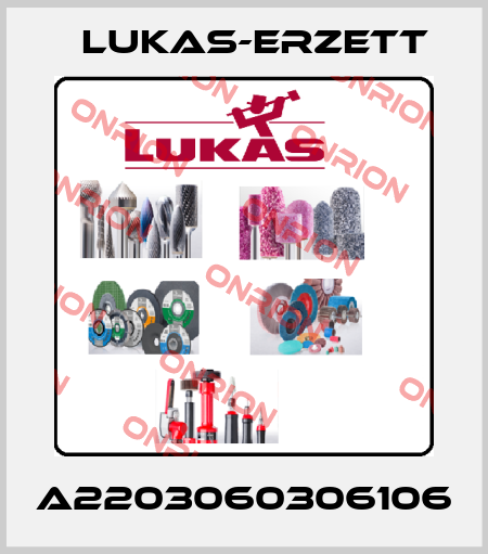 A2203060306106 Lukas-Erzett