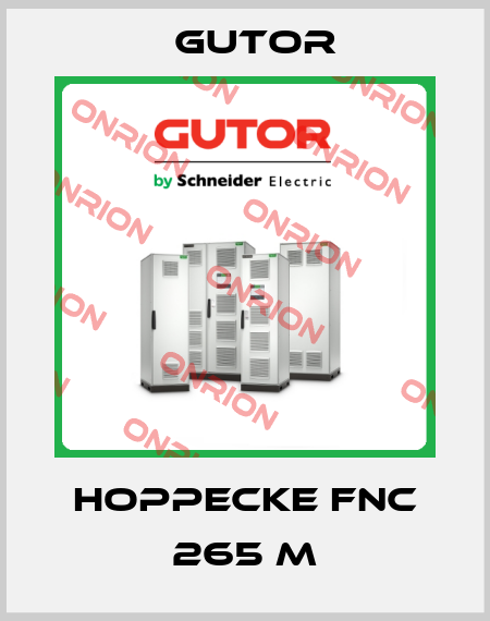 HOPPECKE FNC 265 M Gutor