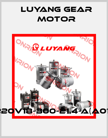 J220V18-300-21.4-A(A012) Luyang Gear Motor