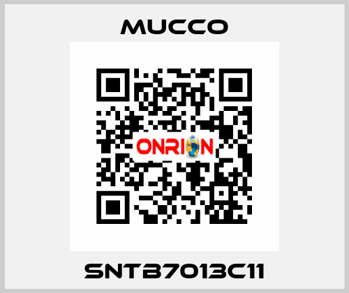 SNTB7013C11 mucco