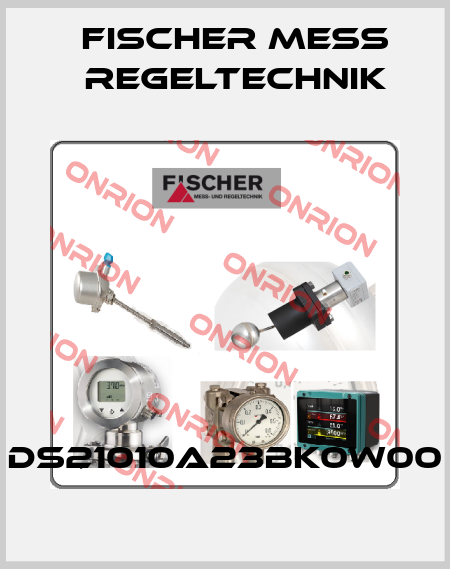 DS21010A23BK0W00 Fischer Mess Regeltechnik