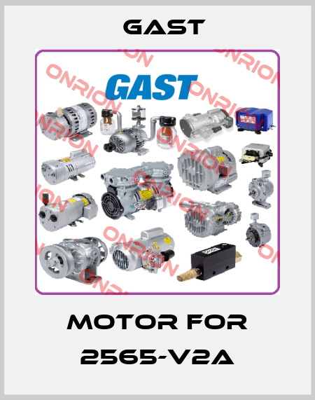 Motor for 2565-V2A Gast
