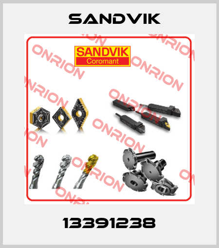 13391238 Sandvik