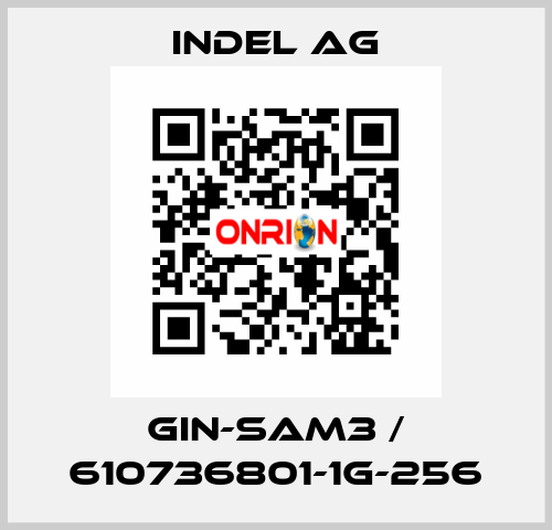 GIN-SAM3 / 610736801-1G-256 INDEL AG