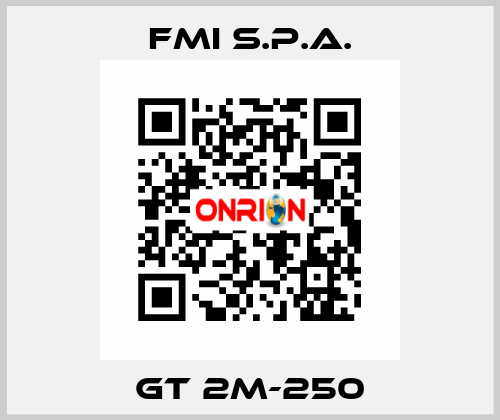 GT 2M-250 FMI S.p.A.