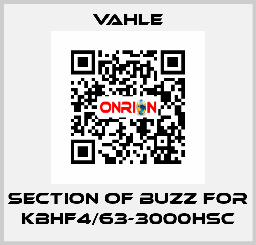 section of buzz for KBHF4/63-3000HSC Vahle