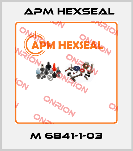 M 6841-1-03 APM Hexseal