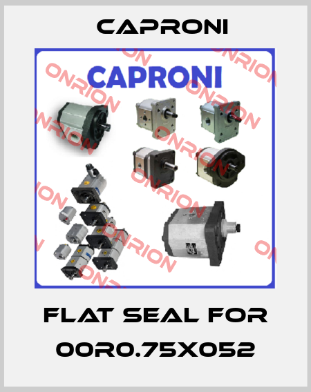 flat seal for 00R0.75x052 Caproni