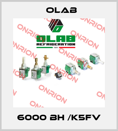 6000 BH /K5FV Olab
