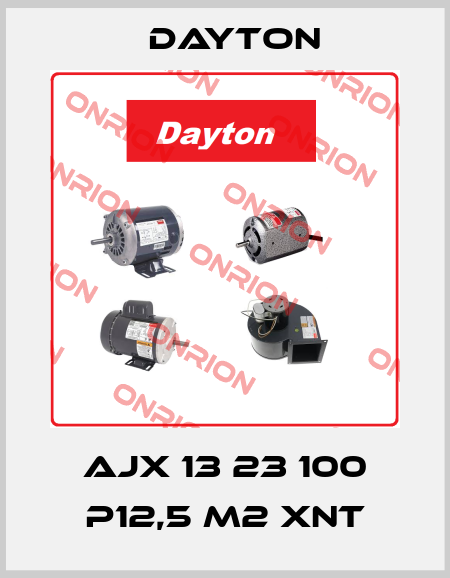 AJX 13 23 100 P12,5 M2 XNT DAYTON