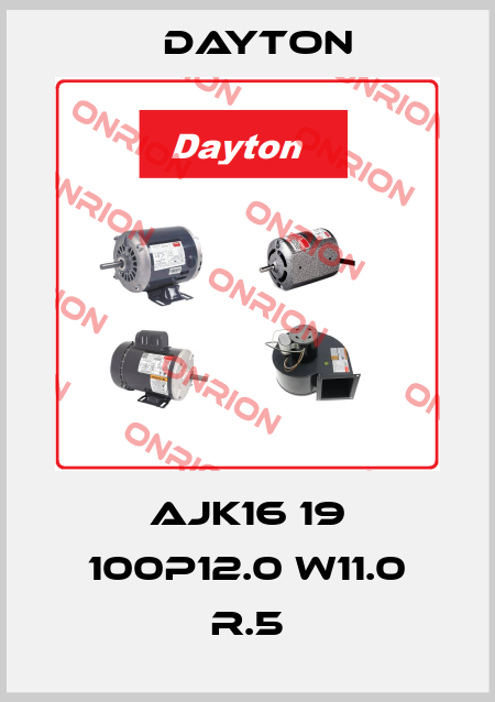 AJK16 19 100P12.0 W11.0 R.5 DAYTON