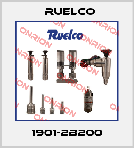 1901-2B200 Ruelco