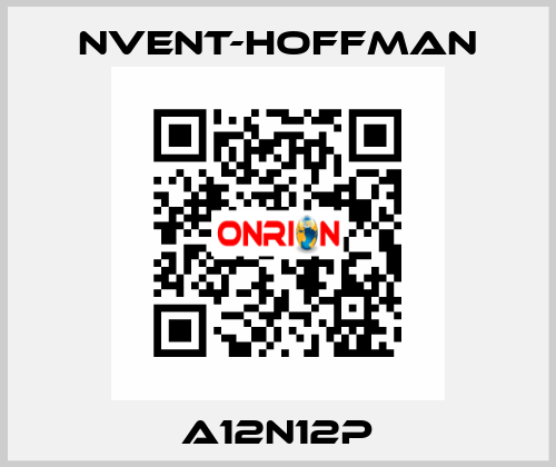 A12N12P nVent-Hoffman