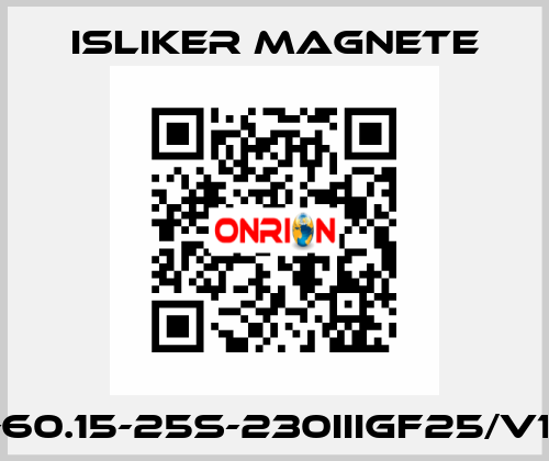 GIs-60.15-25S-230IIIGF25/V1474 ISLIKER MAGNETE