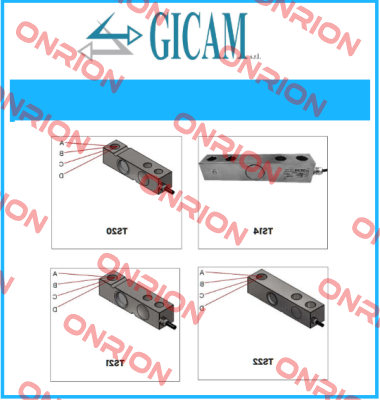 C-TS5-1000K Gicam