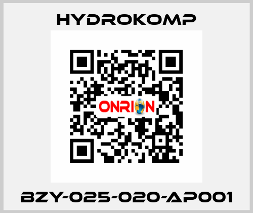 BZY-025-020-AP001 HYDROKOMP